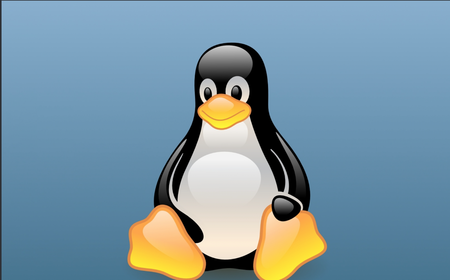 Moving on to Linux for Web Dev.